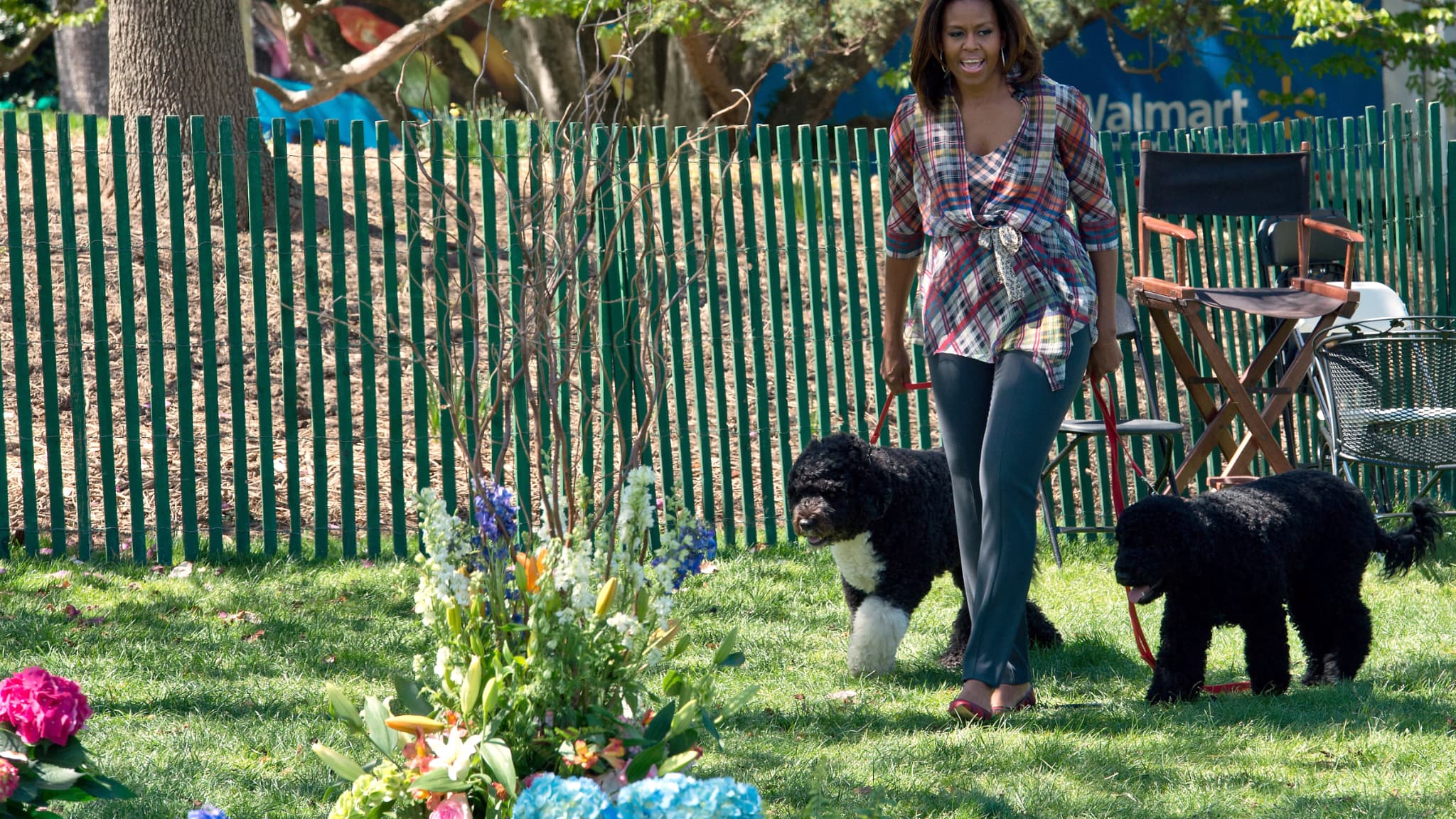Michelle Obama avec Bo et Sunny en 2014 Michelle Obama avec Bo et Sunny en 2014