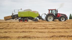 La récolte du blé dans un champ (photo d'illustration) 