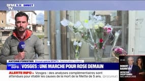 Vosges: une "marche rose" en hommage à la petite Rose prévue ce samedi à Rambervillers