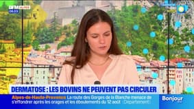 Le journal de 8h du mardi 26 août 2025 - Rixe à Laragne, le mis en cause jugé ce mardi