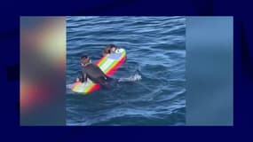 Une loutre tente de voler sa planche à un surfeur californien 