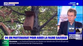 Ile-de-France: le président de Faune Alfort détaille le rôle de l'association