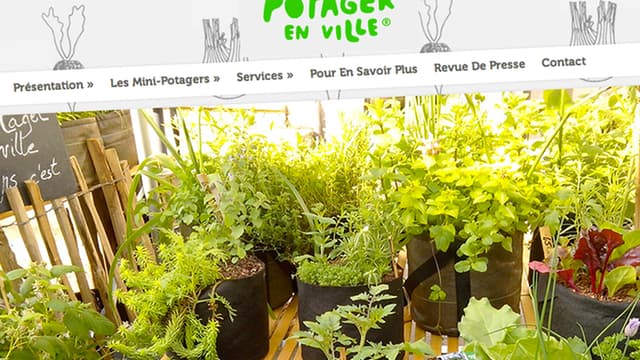 Nature et Potager en ville a été lancé en 2013.