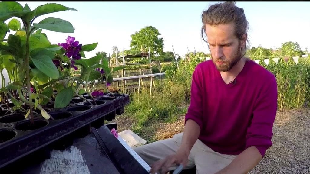 A vous la terre ! Quand culture rime avec agriculture — free download