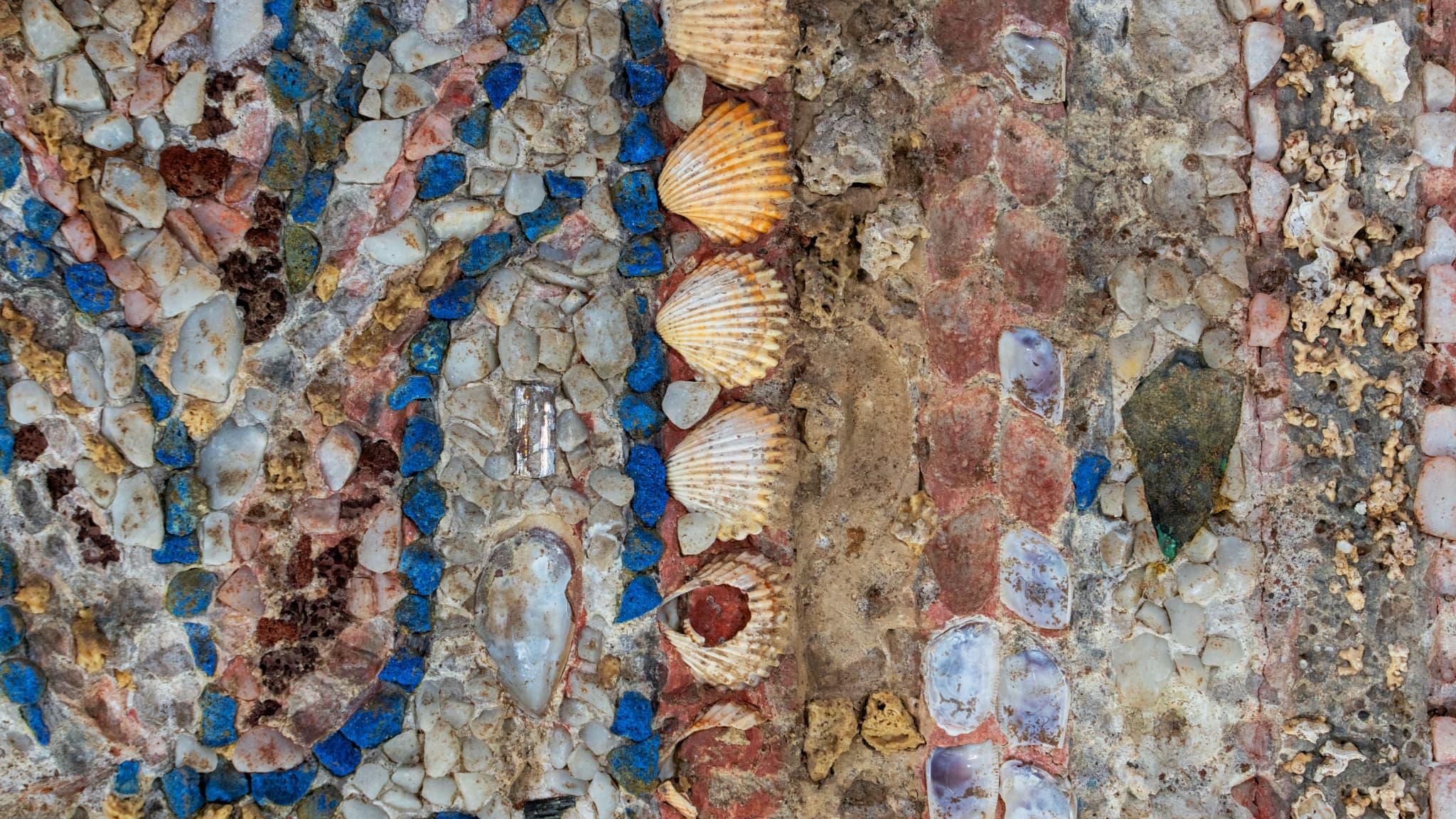 Cette photo diffusée par le ministère italien de la Culture le 12 décembre 2023 montre des coquillages dans des mosaïques découvertes dans une luxueuse maison romaine près du Colisée. 