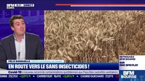 En route vers le sans insecticides ! - 11/11