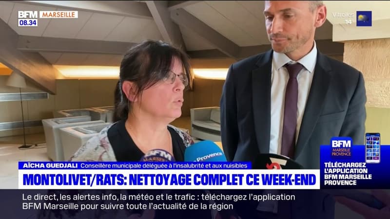 Marseille: nettoyage complet de l'école Montolivet contre les rats