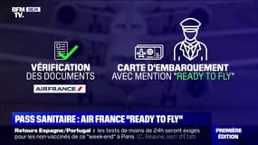 Pass sanitaire: comment Air France et la SNCF se préparent