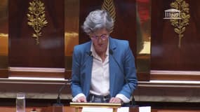 Projet de loi sur la fin de vie: "Le groupe Écologiste donnera une entière liberté de vote à ses membres" affirme Sandrine Rousseau