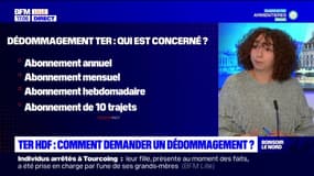 Hauts-de-France: comment demander un dédommagement pour le TER?