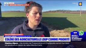 Colère des agriculteurs: les revendications dans les Alpes du Sud