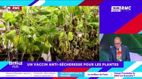On n'arrête pas le progrès : Un vaccin anti-sécheresse pour les plantes - 02/07