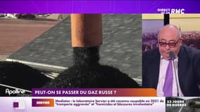 Lechypre d’affaires : Peut-on se passer du gaz russe ? - 28/03