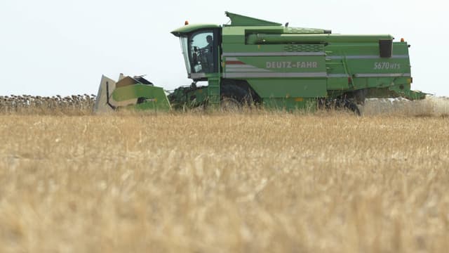 Le réchauffement climatique pourrait, en réduisant la productivité agricole provoquer plus de 500.000 décès supplémentaires. (image d'illustration)