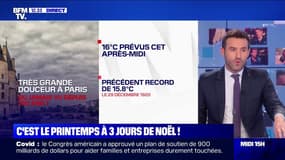 Des températures printanières en plein mois de décembre