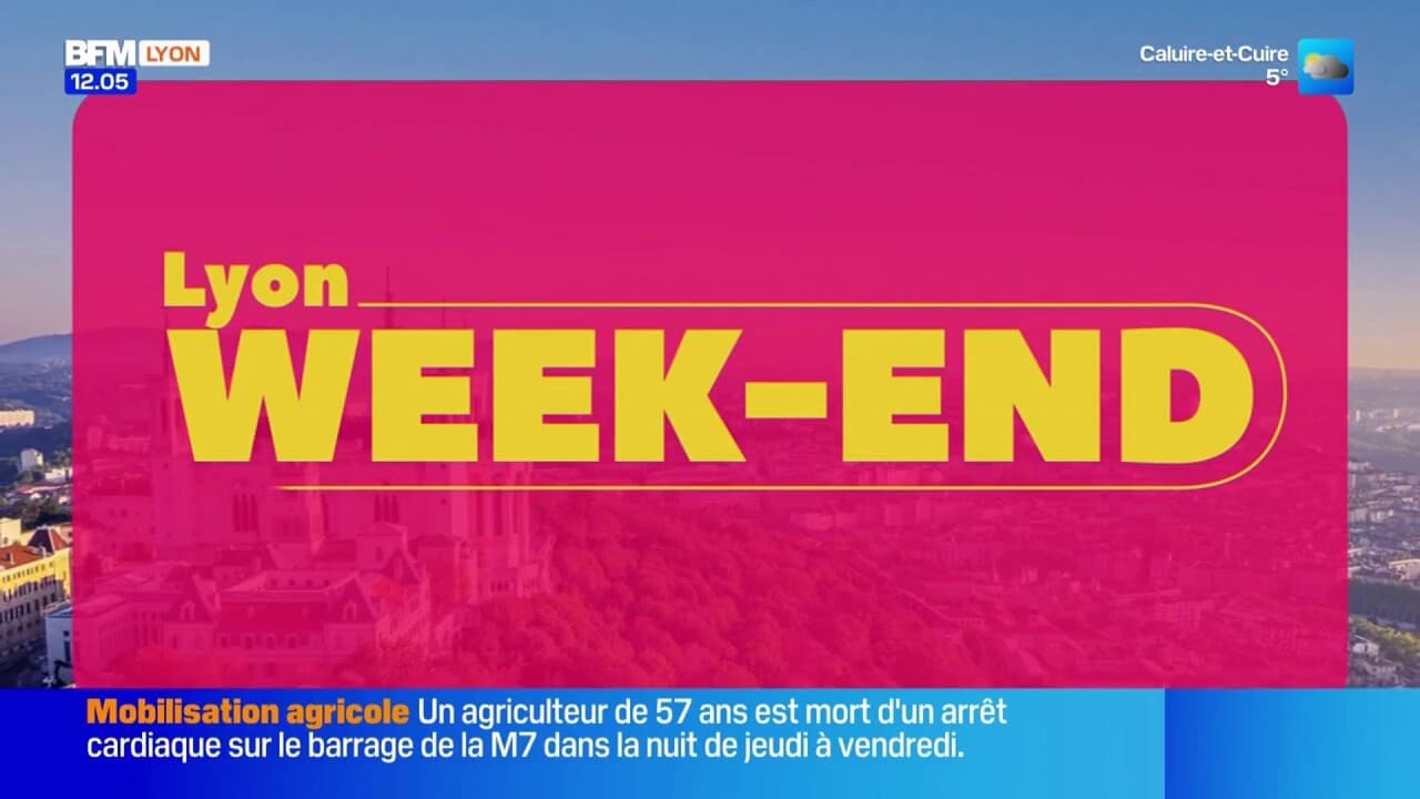 Musées des Beaux-Arts, Paul Mirabel, sport ... Découvrez les sorties à  faire dans Lyon week-end