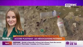 Accord plastique : "Un texte vidé de sa substance" dénonce Marine Bonavita