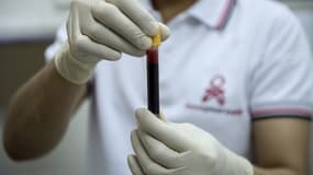 Une infirmière tient un échantillon de sang (image d'illustration)