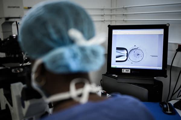 Une membre de l'équipe du Cecos de l'hôpital Tenon, à Paris, réalise un processus d'un parcours de procréation médicalement assisté (PMA), le 24 septembre 2019. Une membre de l'équipe du Cecos de l'hôpital Tenon, à Paris, réalise un processus d'un parcours de procréation médicalement assisté (PMA), le 24 septembre 2019.