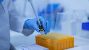 Manipulation en laboratoire
