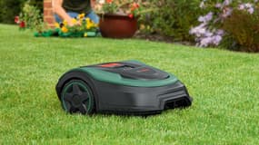 Ce robot-tondeuse Bosch est à prix réduit, ce bon plan vous permet d'entretenir votre jardin facilement