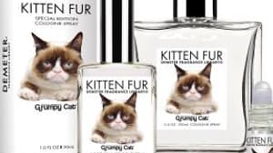 Kitten Fur Grumpy Cat