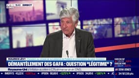 Maurice Lévy (Publicis) : Démantèlement des GAFA, question "légitime" ? - 16/06