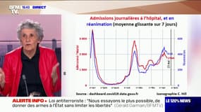 Pour l'épidémiologiste Catherine Hill, déconfiner ne serait "absolument pas raisonnable"