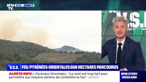 Feu/Pyrénées-Orientales : 668 hectares parcourus - 17/04