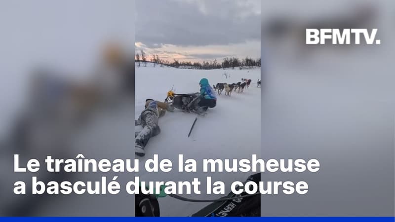 En Norvège, elle se jette pour sauver une femme traînée dans la neige par ses chiens