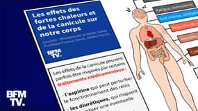 INFOGRAPHIE. Fortes chaleurs, canicules : quels effets sur notre corps et qui sont les plus fragiles?
