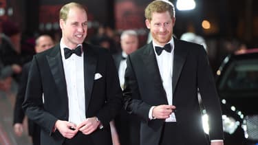 Le prince William et le prince Harry à Londres le 12 décembre 2017