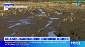 Calaisis: les agriculteurs curent un cours d'eau pour sauver leur activité