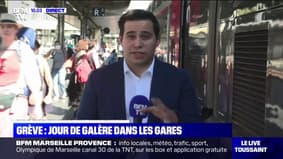 Grève à la SNCF: annulation d'un TGV sur quatre, les départs en vacances perturbés