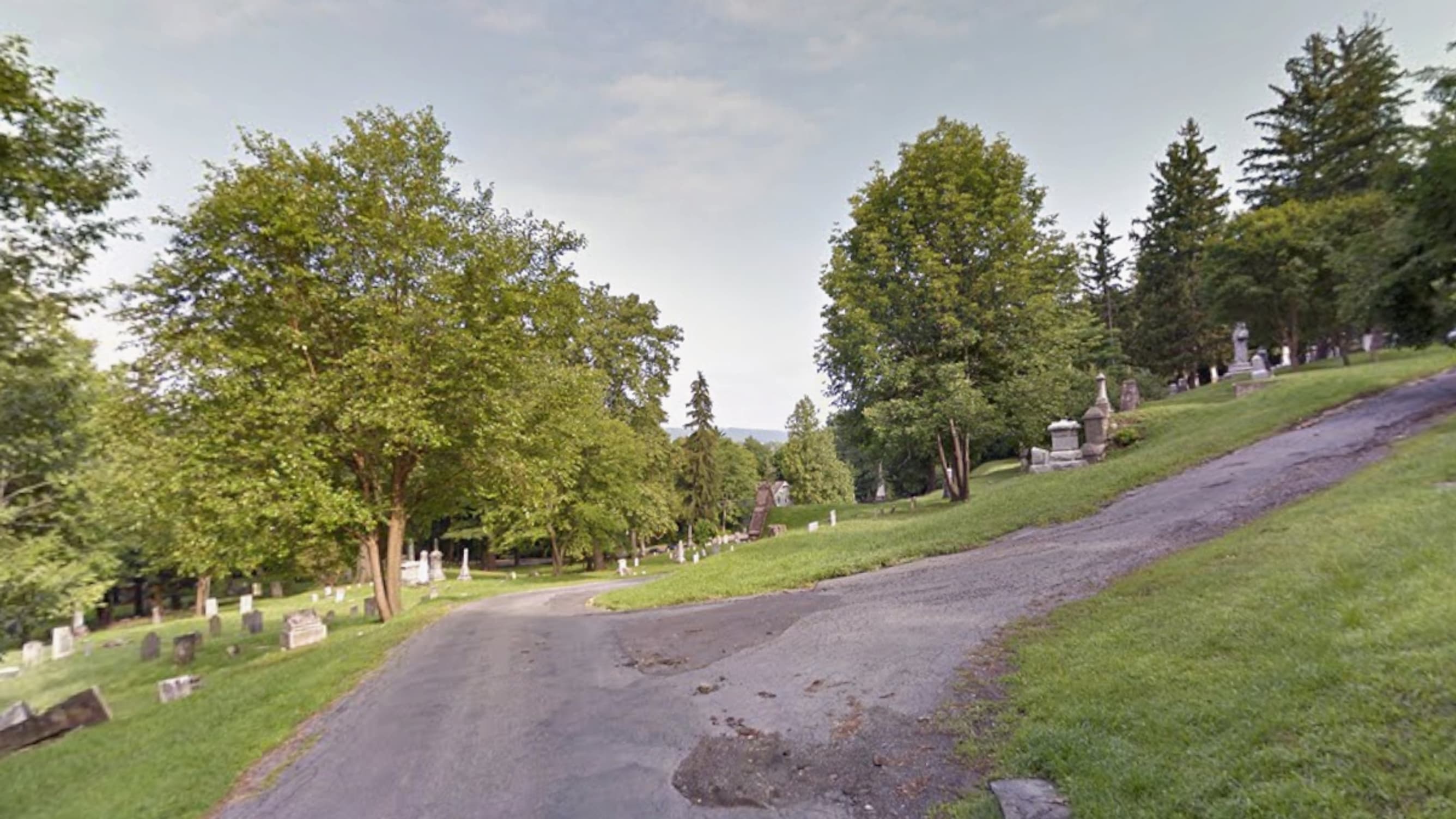 Several million bees discovered under a cemetery in the United States, one of the largest…