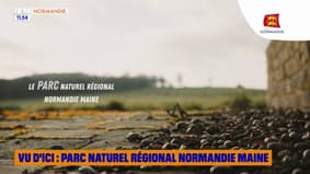 VU D'ICI : Parc naturel régional Normandie Maine