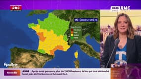 Météo: soleil et chaleur, mais vigilance feux de forêt dans 10 départements