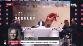 Faut-il interdire la cigarette sur les plages ? Daniel Fasquelle, maire du Touquet