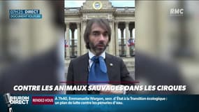 #Magnien: Des personnalités se mobilisent pour faire interdire les animaux sauvages dans les cirques