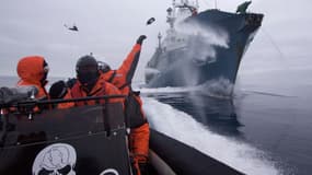 Des membres de Sea Shepherd harcelant un bateau de pêche japonais