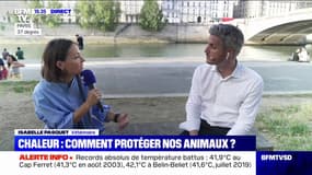 Canicule: les conseils d'Isabelle Pasquet, vétérinaire, pour protéger les animaux de la chaleur