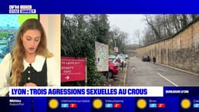 Lyon: trois agressions sexuelles au Crous