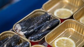 Des sardines en boîte à la conserverie de Douarnenez, le 17 avril 2025.