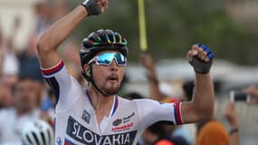 Peter Sagan sacré champion du monde 2016