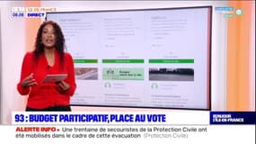 Seine-Saint-Denis: place au vote pour les 180 projets du budget participatif