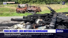 Normandie: plusieurs millions d'euros de subvention pour lutter contre les feux de forêts