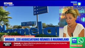 Marineland: une expertise "toujours en cours" sur l'état de santé des orques