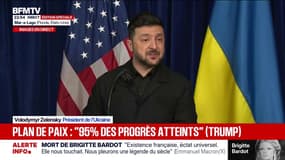 Plan de paix pour l'Ukraine: "Les discussions étaient formidables sur un grand nombre de sujets", déclare Volodymyr Zelensky