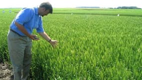 Monsanto ne fait plus pression pour le développement des cultures génétiquement modifiées dans la plupart des pays d'Europe en raison de l'opposition qui reste forte dans de nombreux pays. "Nous sommes arrivés à la conclusion qu'il n'y avait pas de large