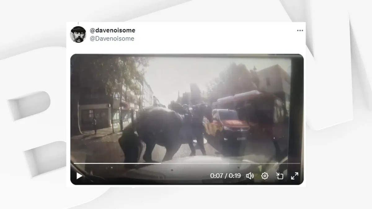 placeholder video